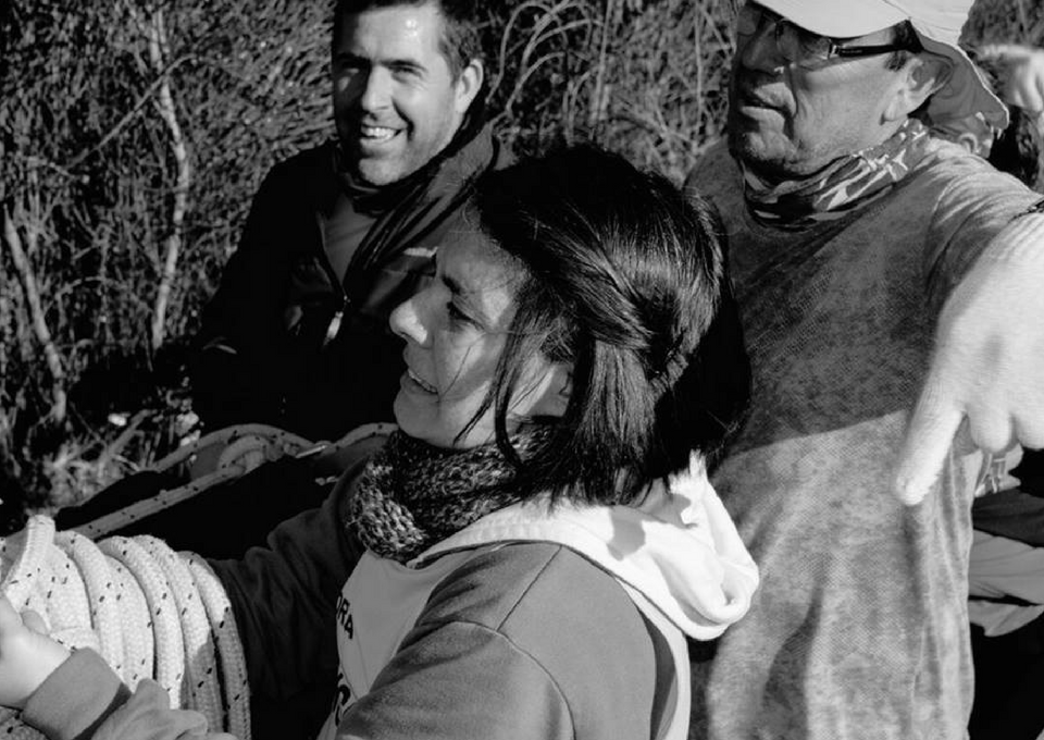 Diplomatura en Inteligencia Emocional y Habilidades Directivas