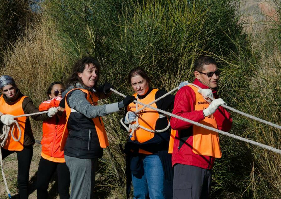 Diplomatura en Inteligencia Emocional y Habilidades Directivas